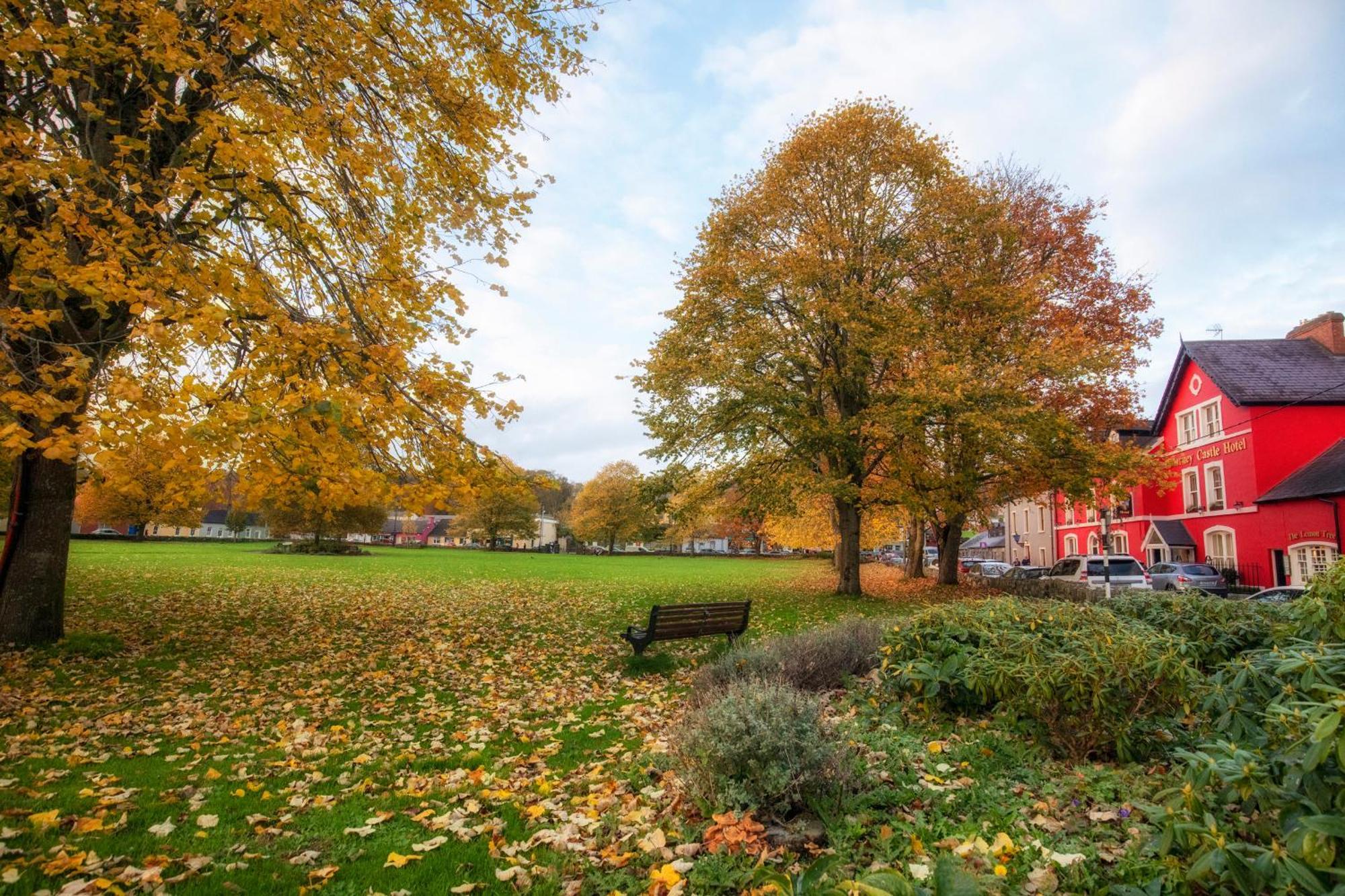Blarney Castle Hotel Luaran gambar